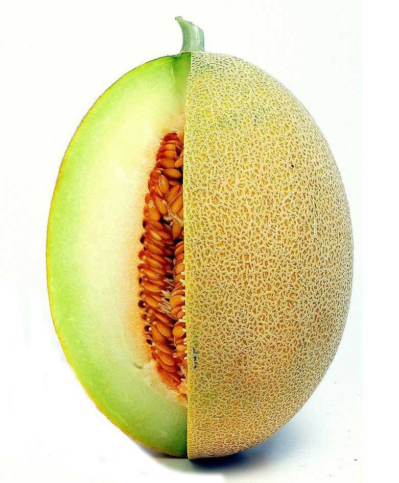 Сорт дыни «ананас f1»: описание и способы выращивания