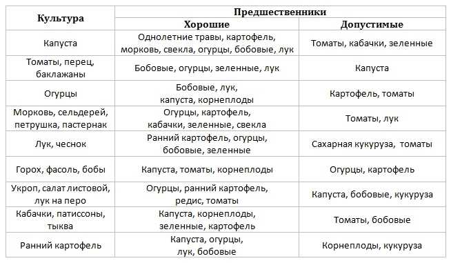 Грамотный севооборот – качественный продукт: после каких предшественников лучше всего сажать чеснок?