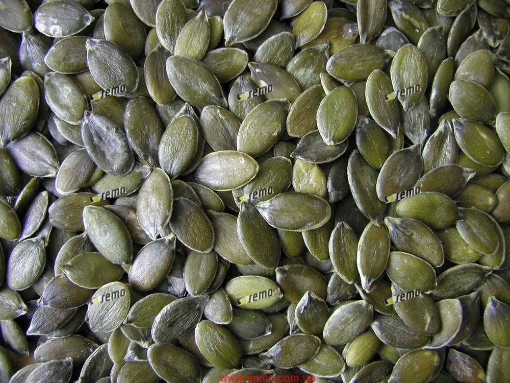 Характеристики и описание сортов голосемянной тыквы, выращивание