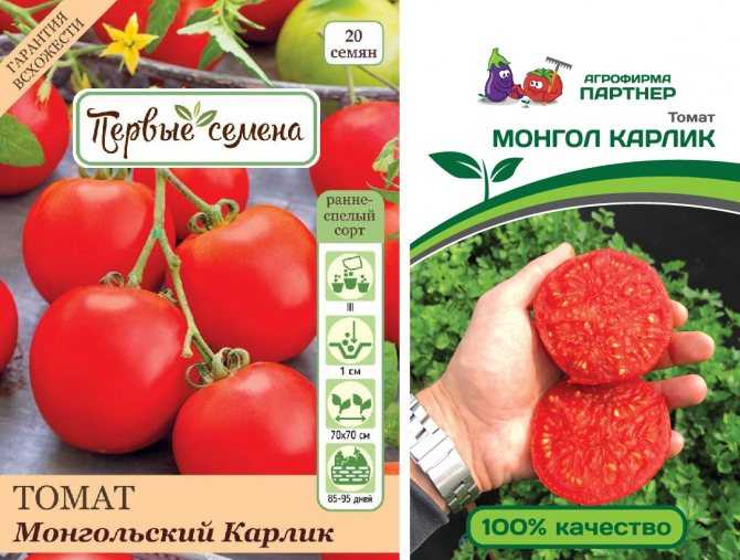 Самые необычные сорта томатов: по форме и цвету, ребристые, белые, черные, зеленые, рейтинг и отзывы огородников