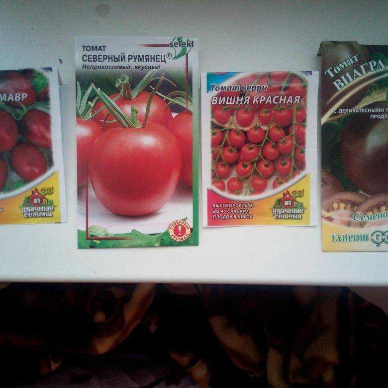 Томат "калинка-малинка": описание сорта, фото, выращивание вкусных помидоров русский фермер