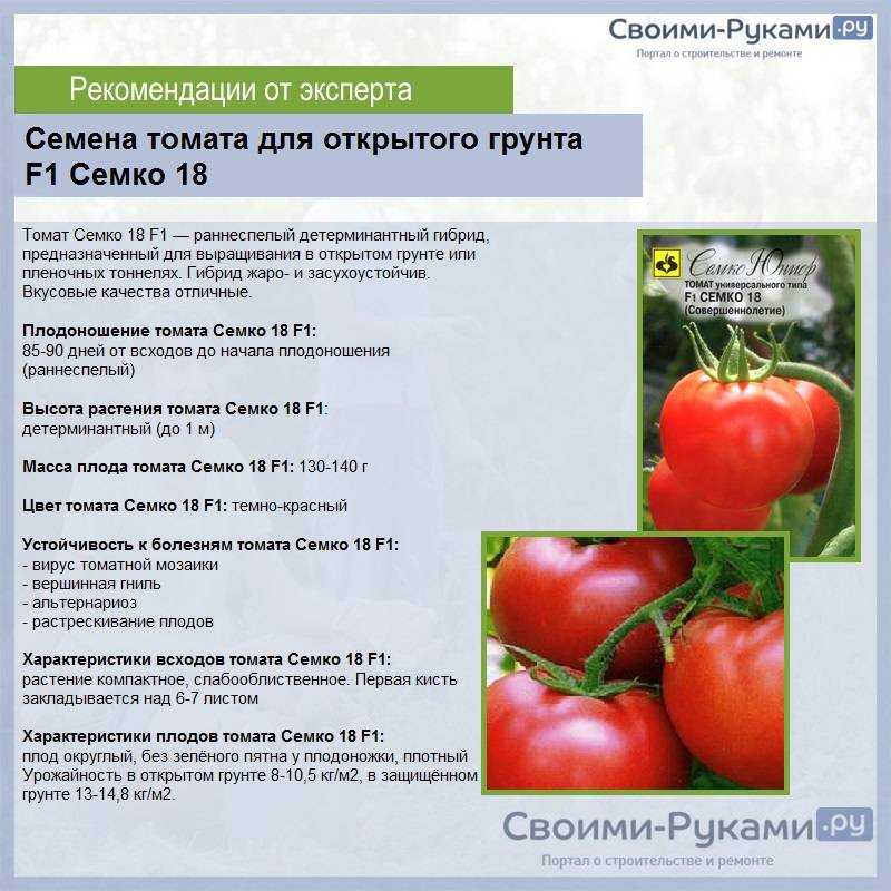 Томат благовест: описание и характеристика сорта, особенности выращивания помидоров в открытом грунте и в теплице, отзывы, фото