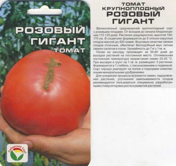 Томат "красный гигант": характеристика и описание сорта помидор, отзывы и фото