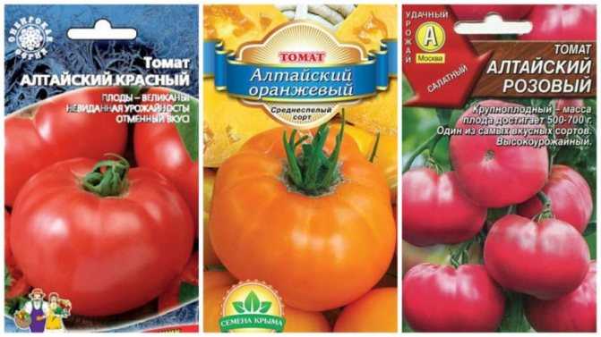 Томат алтайский шедевр: описание сорта, фото помидоров и отзывы тех, кто их выращивал
