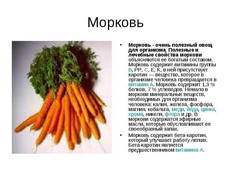 Витамины в моркови печени. Морковь полезный овощ. Доклад про морковь. Морковь чем полезна доклад. Интересные морковки.