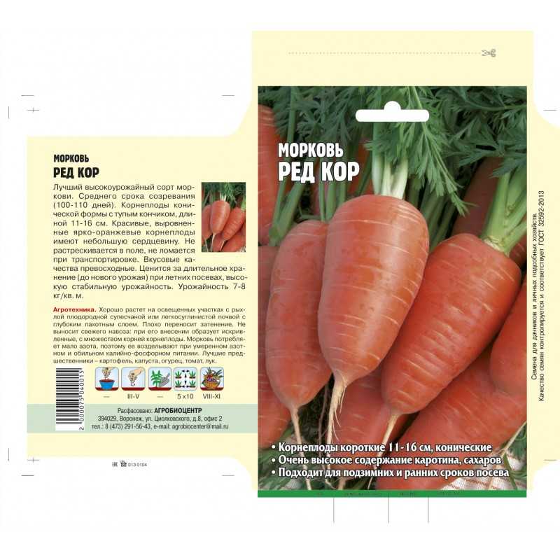 Лучшие сорта моркови для хранения, сладкие, для сибири, устойчивые к морковной мухе: названия, описание, фото, отзывы