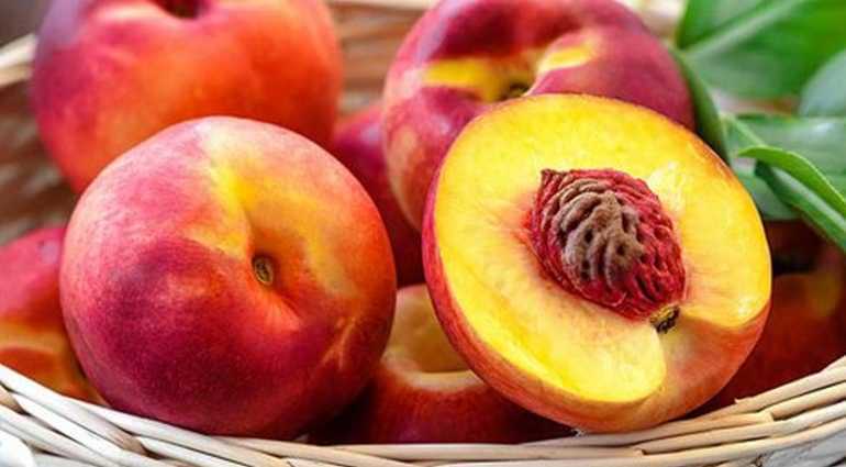 Персик: польза и вред для организма, витамины и полезные свойства