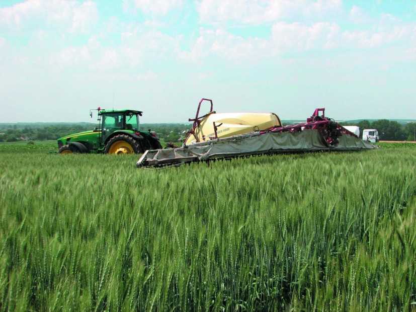 Карбамид – подкормка пшеницы правильным способом