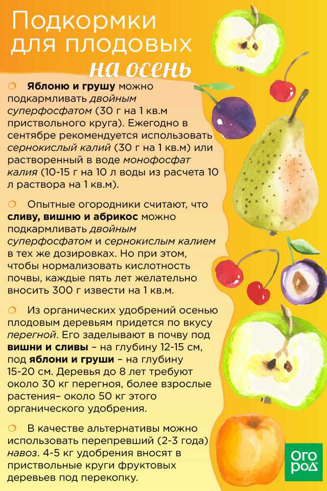 Чем подкормить фруктовые деревья