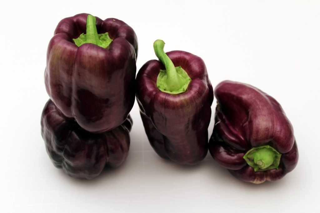 Необычный сорт с фиолетовыми плодами — перец «биг папа» и нюансы его выращивания