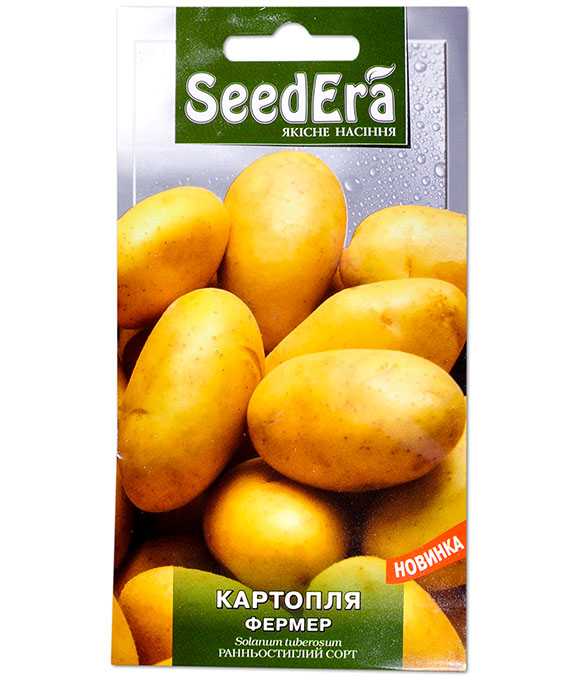 Картофель луговской: описание сорта, фото, отзывы о вкусовых качествах и сроках хранения, характеристика урожайности, а также советы фермеров по выращиванию