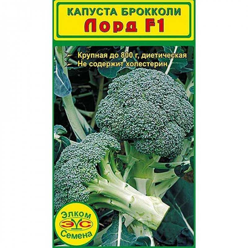 Брокколи маратон f1: описание сорта, характеристика урожайности, отзывы о вкусовых качествах капусты, особенности выращивания