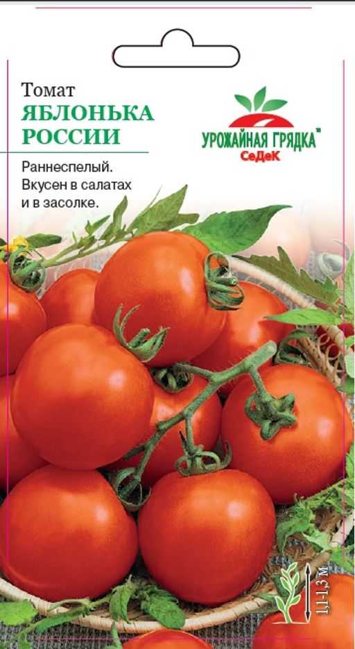Томат яблонька россии фото, отзывы