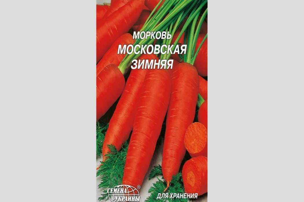 Лучшие сорта моркови для подмосковья: характеристики, фото и выращивание
