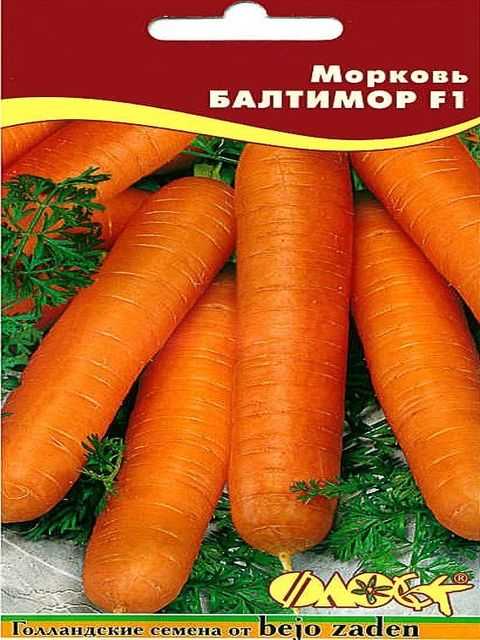 Черная морковь как выглядит где растет и стоит ли выращивать