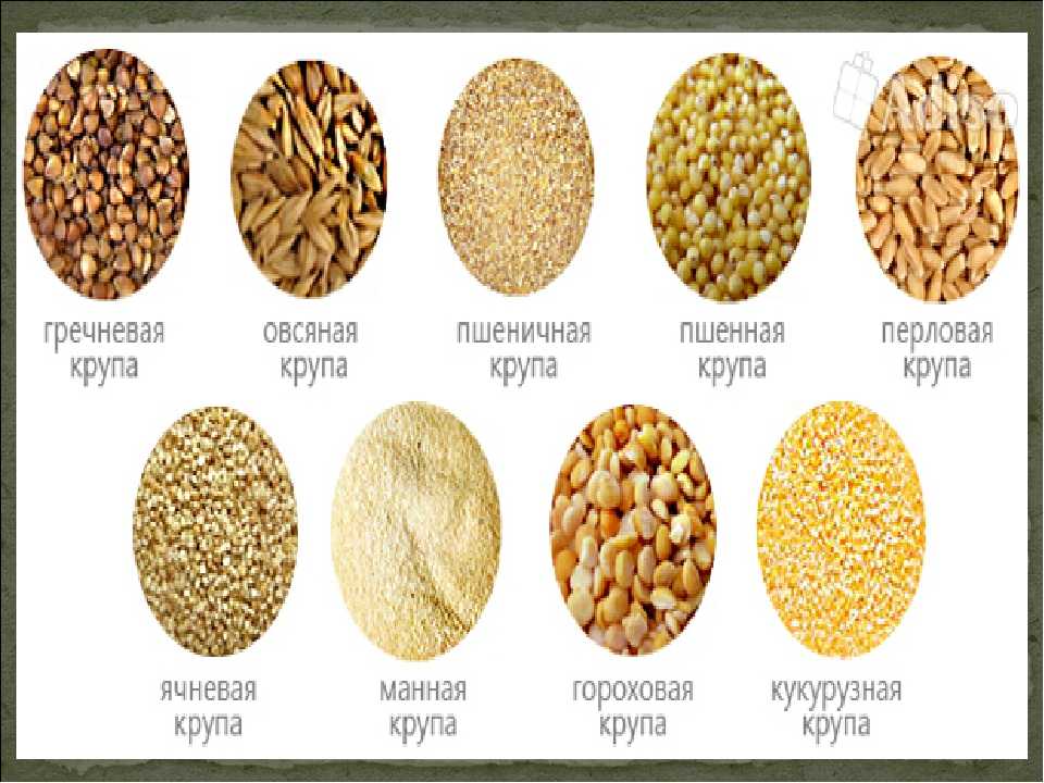 Пшенная и пшеничная в чем разница. Крупы. Виды круп. Пшено и пшеничная крупа. Названия разных круп.