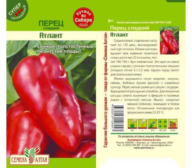 Перец богатырь: описание урожайного красного болгарского сорта, особенности выращивания и ухода