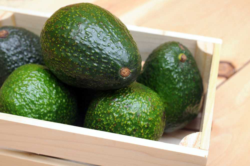 Как хранить авокадо в домашних условиях: сколько хранится в холодильнике разрезанный на половинки и очищенный