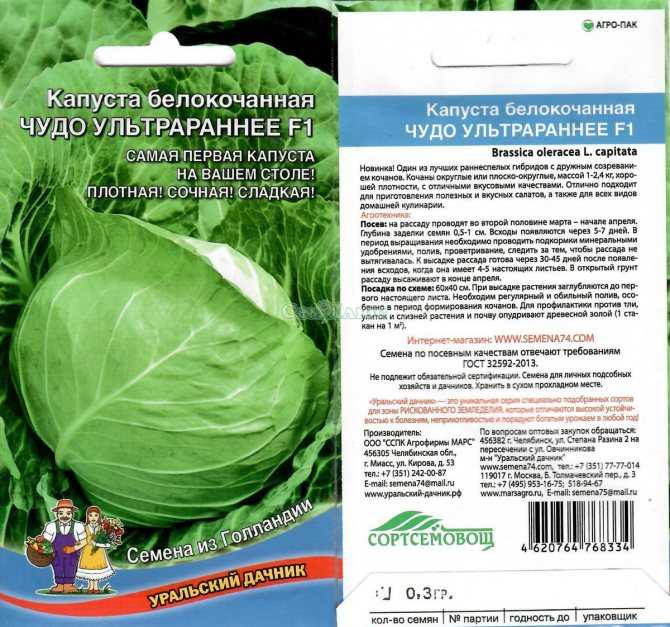 Капуста тобия f1: описание гибрида и характеристика урожайности и вкусовых качеств, фото сорта и отзывы огородников