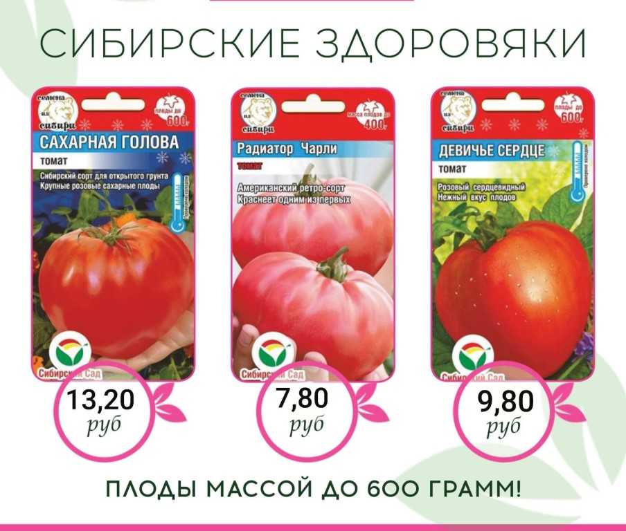 Гибридный томат «рапсодия» — выращиваем на своём участке самостоятельно без хлопот
