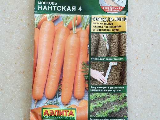 Морковь нантская: характеристика и описание сорта, сроки созревания, выращивание с фото