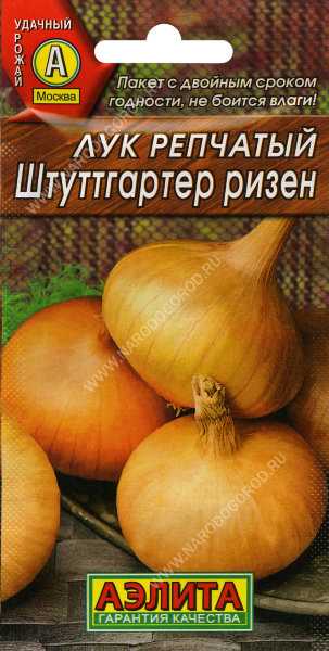 Лук штутгартер ризен: описание сорта, посадка и уход