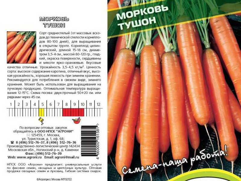 Лучшие сорта моркови для хранения, сладкие, для сибири, устойчивые к морковной мухе: названия, описание, фото, отзывы