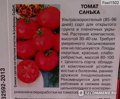 Послеобеденный восторг томат характеристика и описание сорта фото