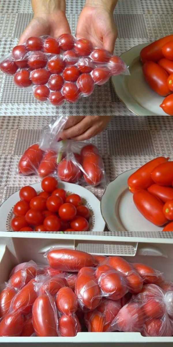 Основы хранения помидоров в домашних условиях в квартире – кому свежих помидор на новый год?
