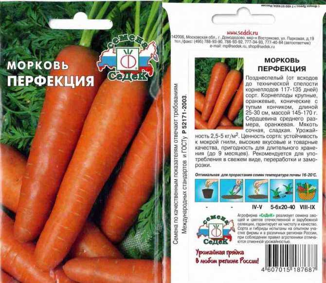 Описание, характеристика и особенности выращивания  сорта моркови самсон