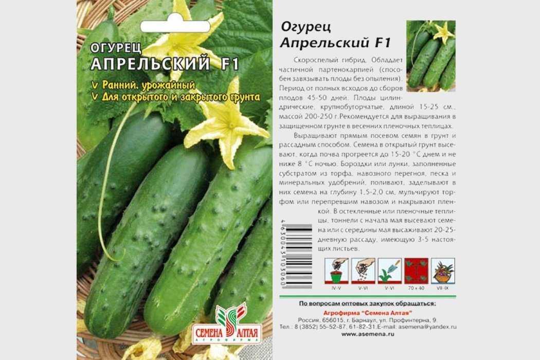 Топ-35 лучших самоопыляемых сортов огурцов для теплицы и открытого грунта: самые урожайные и вкусные