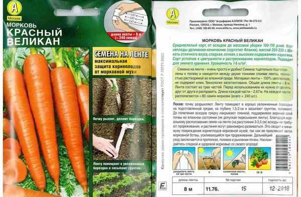 Лучшие сорта моркови для урала: для открытого грунта, отзывы о посадке семенами в открытый грунт, фото с описанием, советы по хранению, какие лучше сажать