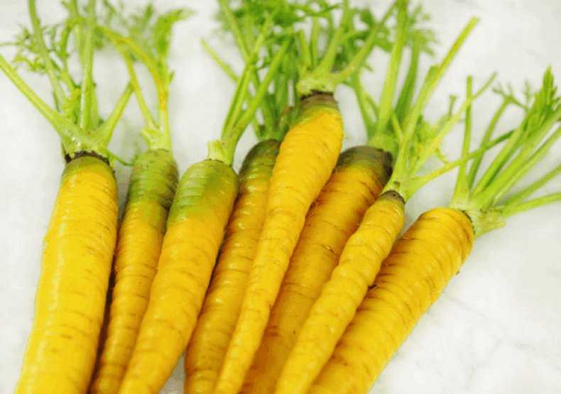 Желтая морковь и тысяча и один способ употребления