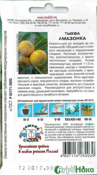 Неприхотливая в уходе и сладкая на вкус тыква «конфетка»: преимущества и недостатки сорта