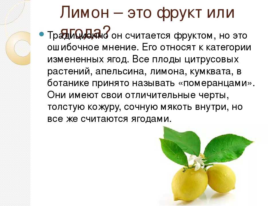 Лимон это овощ или ягода
