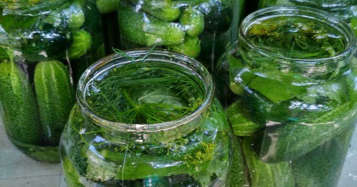 Маринованные огурцы на зиму — 7 рецептов хрустящих огурчиков в банке