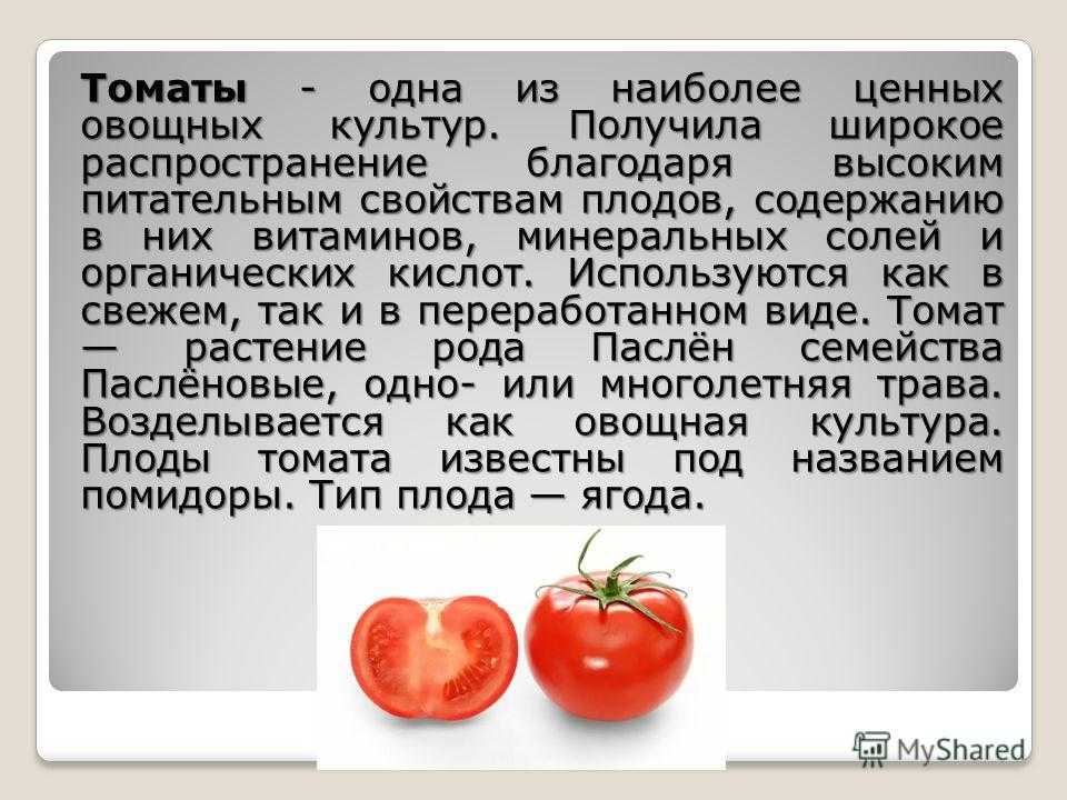 К чему относится баклажан — это ягода или овощ?
