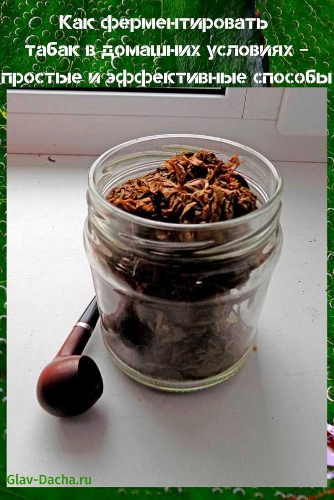 Ферментация табака на батарее: способы и правила ферментации табака в домашних условиях