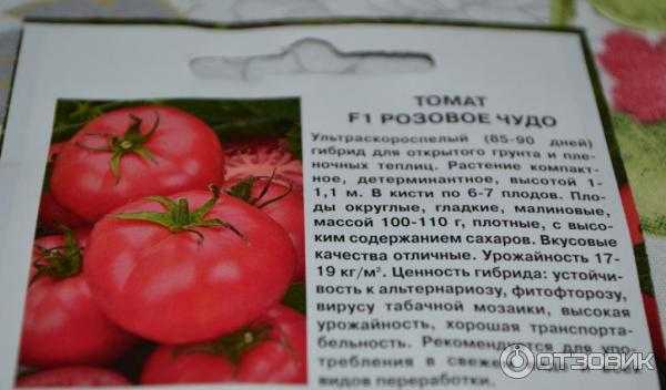Описание томата десертный розовый, особенности выращивания и отзывы