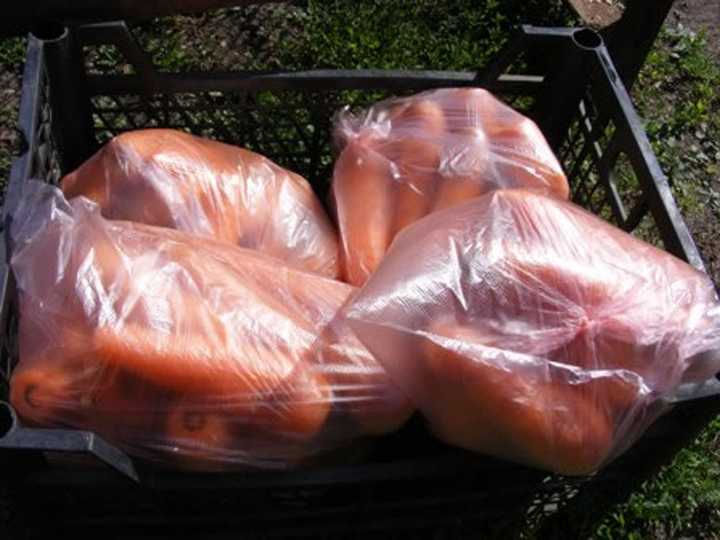 Хранение моркови в опилках на зиму: можно ли и как правильно хранить, каковы плюсы и минусы, отзывы дачников об этом методе?