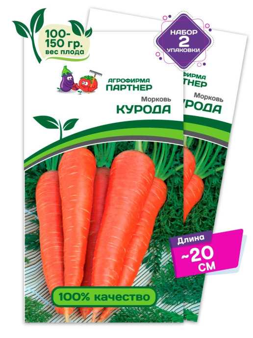 Характеристика моркови шантанэ и особенности её выращивания