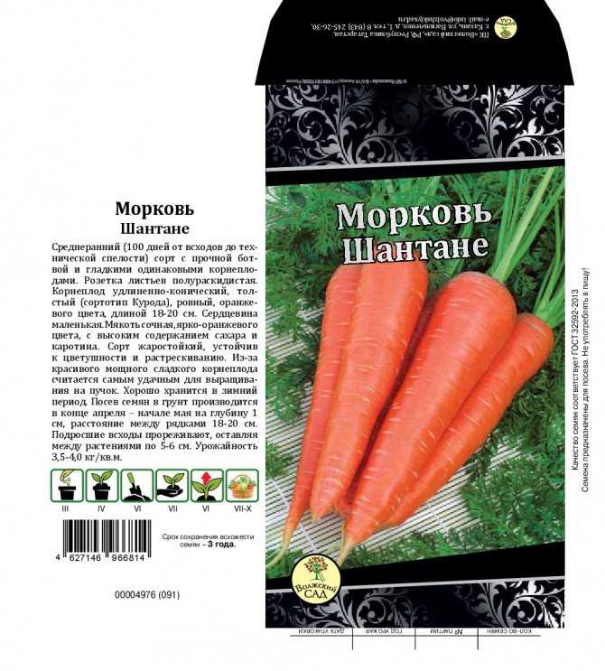 Морковь "шантане": описание и фото, отзывы