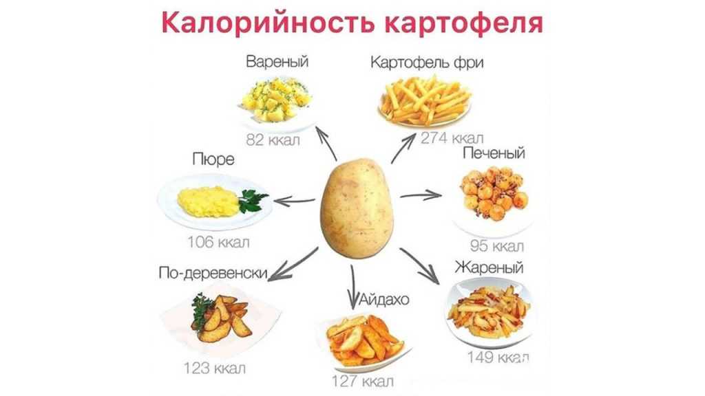 Калорийный ли отварной картофель