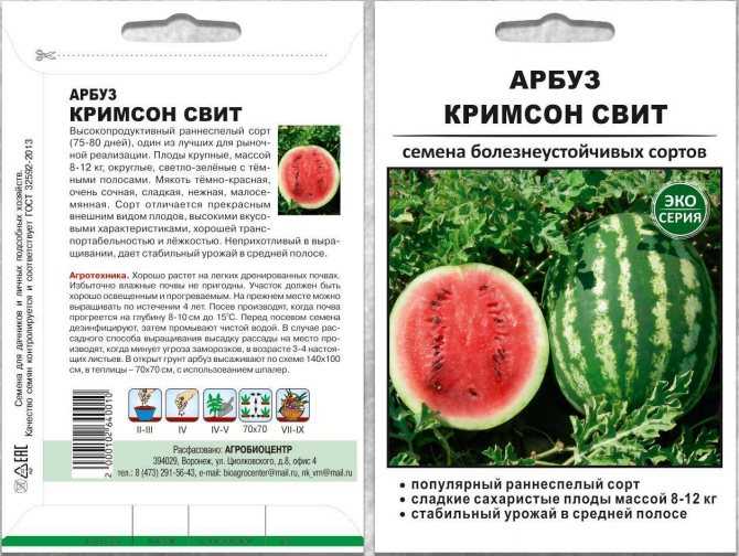 10 лучших сортов арбуза 2021 для теплицы и открытого грунта