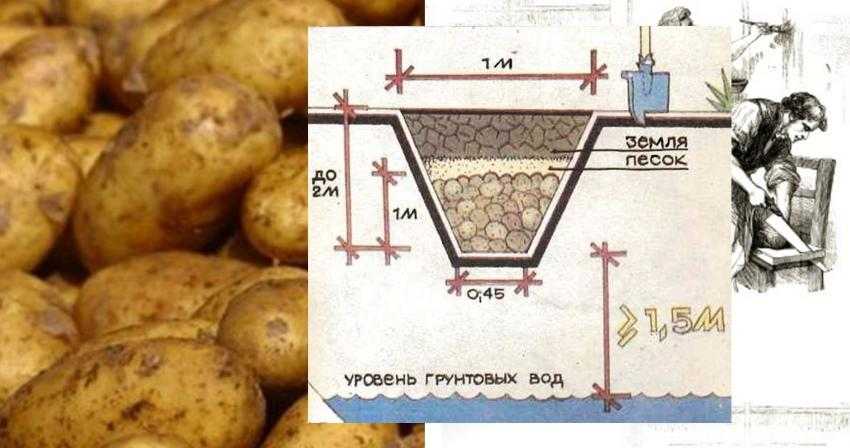 Хранение картошки в гараже без погреба: как правильно сохранить без подвала зимой в холодной яме, как и в чем лучше лежать картофелю