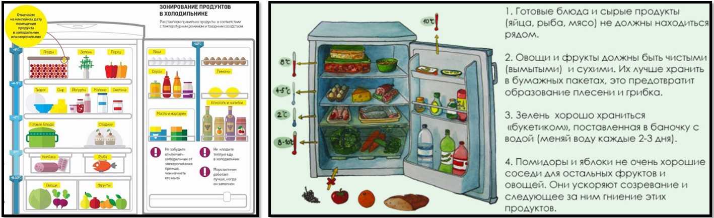 Как хранить цветную капусту на балконе, в холодильнике и морозилке?