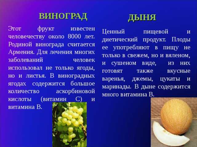 Арбуз - это фрукт или ягода, овощ или тыквина, как правильно называть его плоды