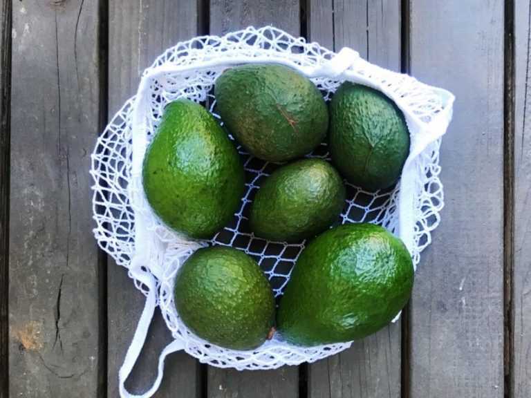 Срок и условия хранения авокадо (пока дозреет, в холодильнике, морозилке)