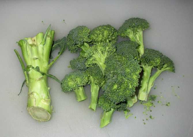 Какую часть брокколи употребляют в пищу: как готовить съедобные части, можно ли есть кочерыжку, как её использовать, едят створ или нет