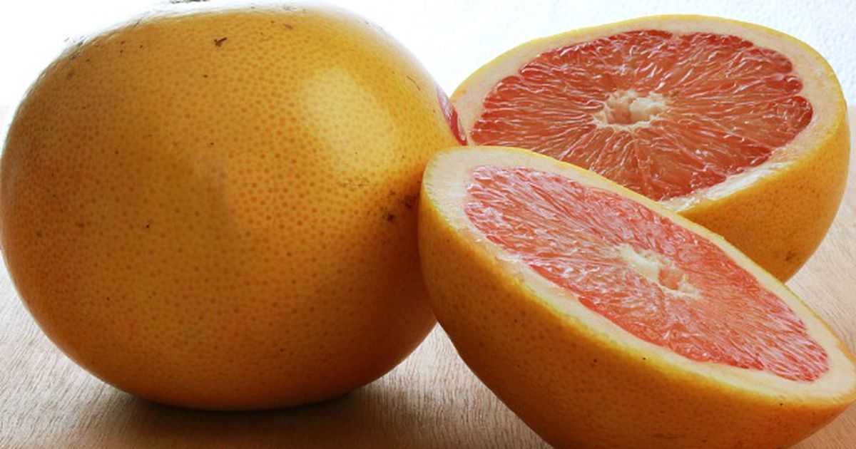 Апельсин грейпфрут как называется. Апельсин грейпфрут помело. Гибрид апельсина и помело. Гибрид апельсина и грейпфрута. Грейпфрут гибриды цитрусовых.